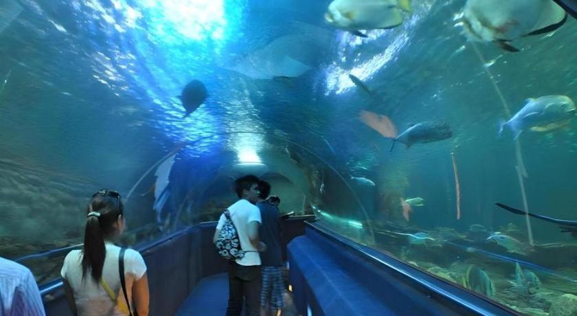 Vinpearl Discovery Rockside Nha Trang Luaran gambar